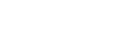 Synaptic Travels & Wellness